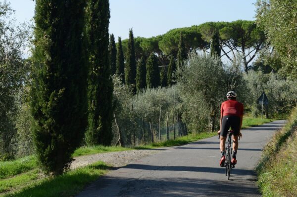 Enjoy bike tours in tuscany - ChronòPlus