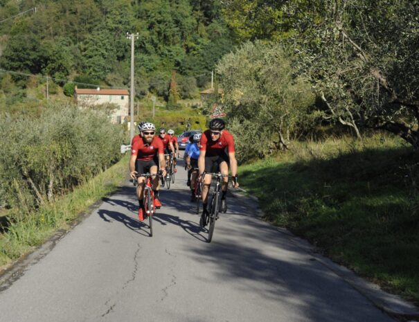 Elevate Cycling Tours in Valgiano