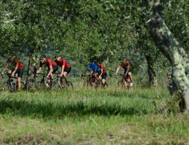 Elevate Cycling Tours in the hills - ChronòPlus