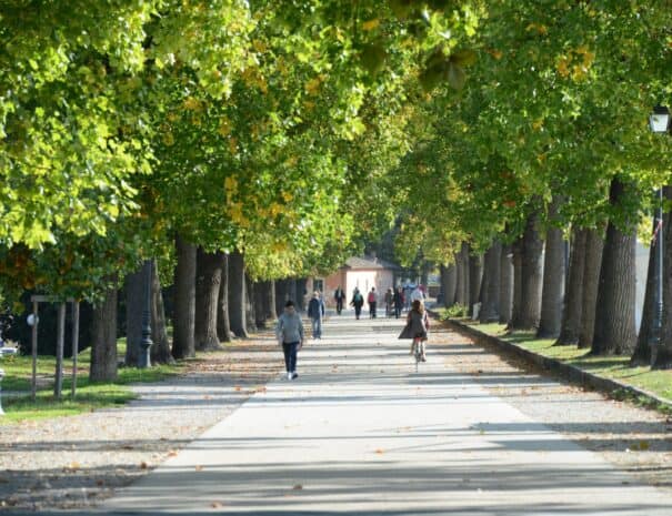 Cycling on the Lucca's walls - ChronòPlus