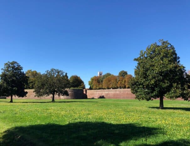 Cycling Tour around Lucca's walls - ChronòPlus