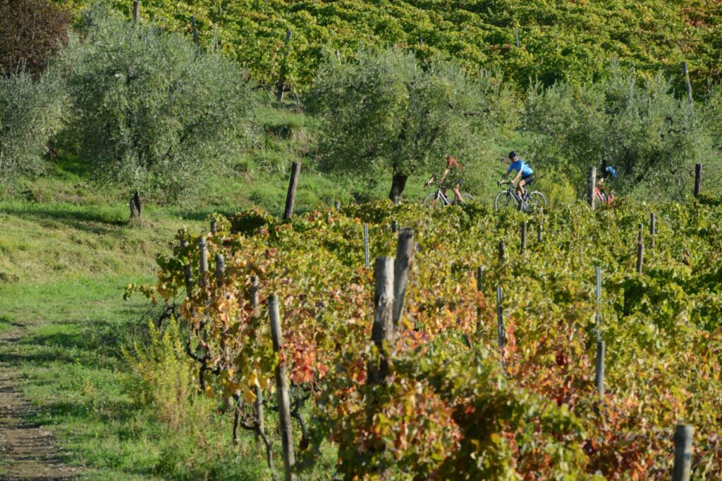 Autumn cycling tour in Tuscany - ChronòPlus