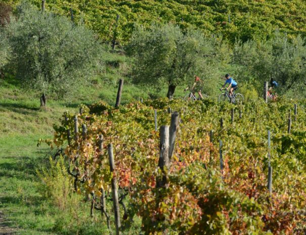 Autumn cycling tour in Tuscany - ChronòPlus