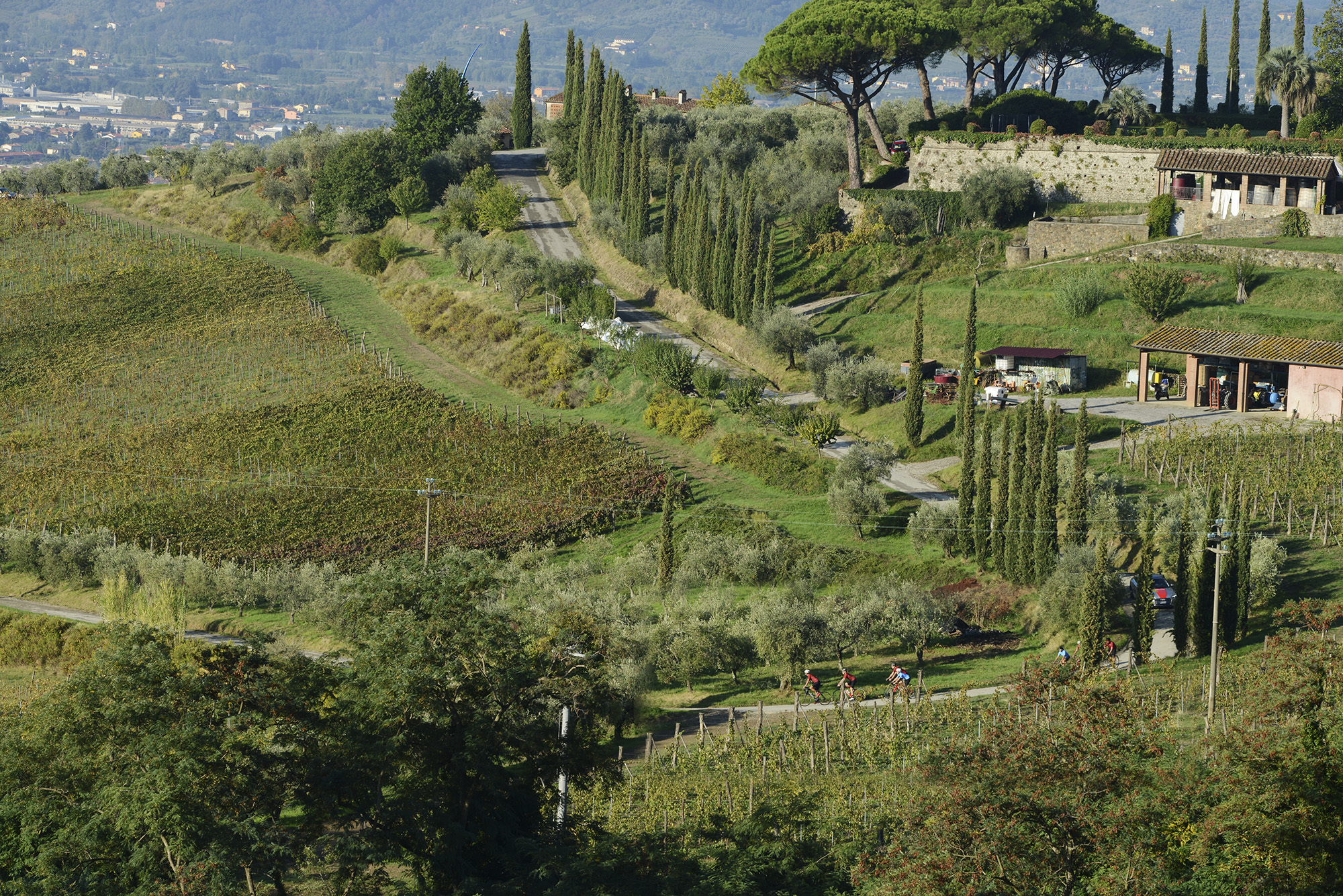 Bike Rental in Lucca Ciclismoplus