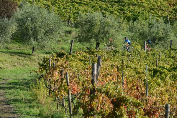 Cycling-along-vineyards-in-Tuscany